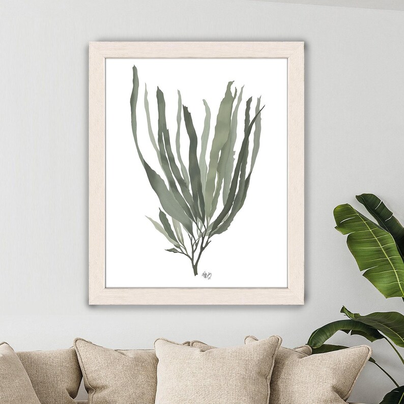 Green seaweed print, beach house decor, ocean artwork, nautical theme, coastal beach decor, green room art nature inspired - Seaweed 1 green image 3