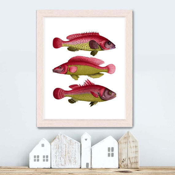 Fish Art Print Red/yellow Fantasy Fish Fish Print Fishing Gift