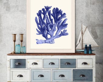 Blue Coral print 1  - Nautical print coral art beach decor wall decor marine painting nautical picture nautical decor beach house