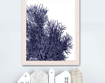 Blue Coral Print - Nautical Wall Art, Coastal Home Decor