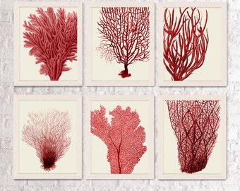 Set of 6 Red Coral Prints - sea coral print Nautical print Nautical art beach decor beach house bathroom decor nautical decor red room decor