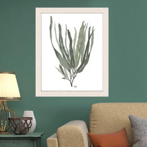 Green seaweed print, beach house decor, ocean artwork, nautical theme, coastal beach decor, green room art nature inspired - Seaweed 1 green image 2