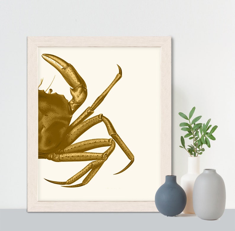 Crab Print, Mustard on Cream crab art gold art print Nautical print beach decor wall decor marine painting nautical picture bathroom decor image 9