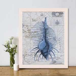 Blaue Muschel Muschel Kunstdruck auf Seekarte 2 - Muschel Wand Kunst Muschel Druck nautische Schlafzimmer Wand Kunst