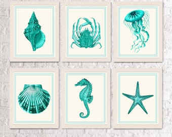 Nautical Prints Set of 6 - Turquoise on Cream Nautical Print Nautical Decor Nautical Home Decor Shell art starfish print Seahorse print