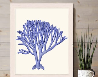 Blue Sea Coral Art Print – Nautical Home Decor