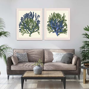 Coral Prints - Set of 2 Blue and Green Coral art prints  coral beach decor coral decor coral home decor Decorative art blue green room decor
