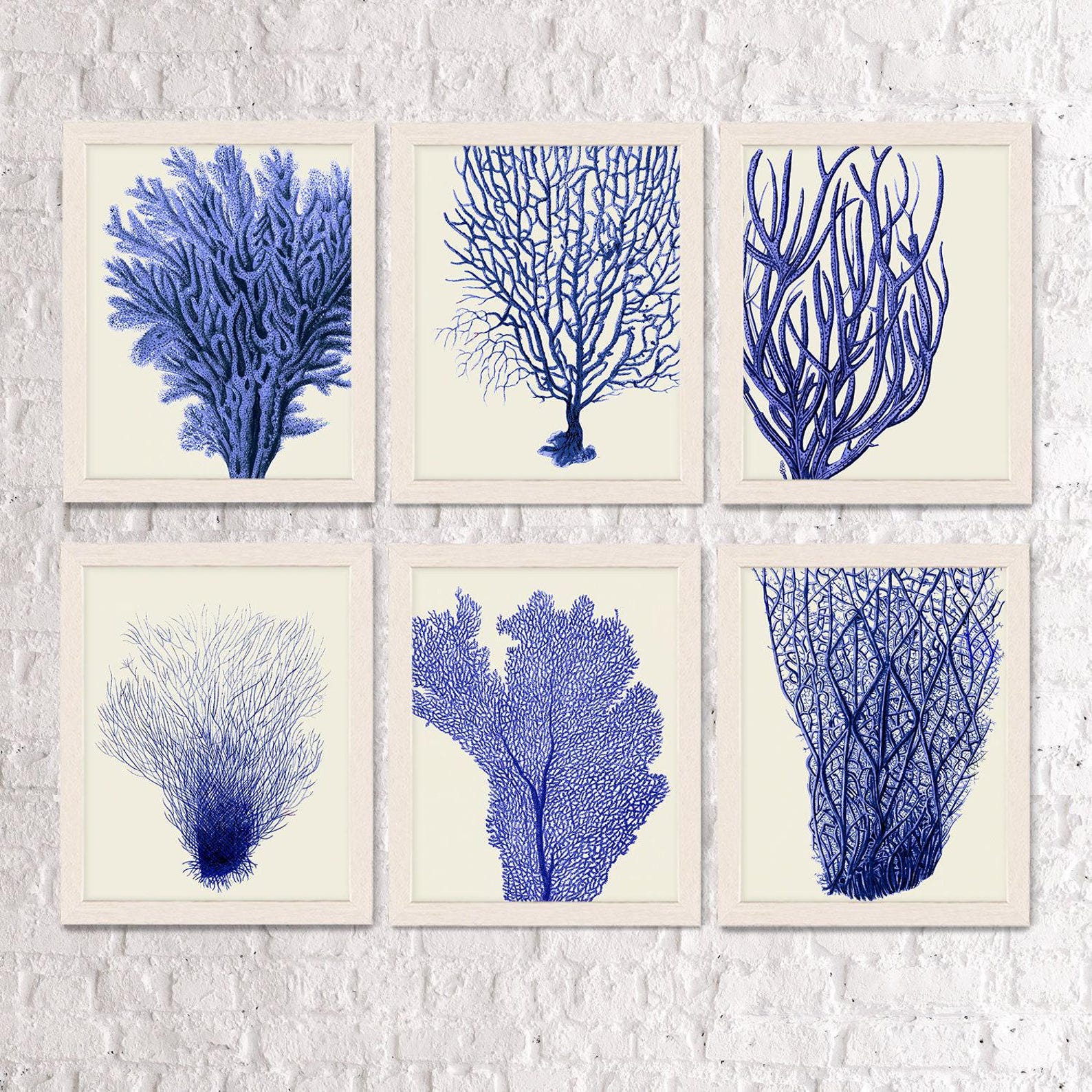 Blue Coral Prints 1 Set of 6 - Nautical Print Sea Picture Beach Decor ...