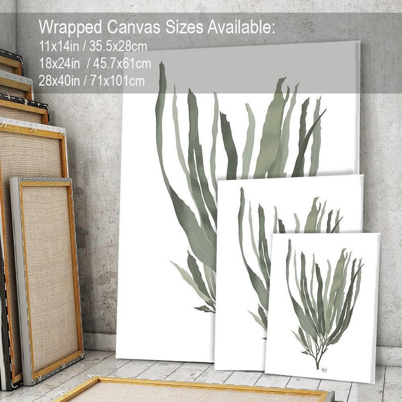 Green seaweed print, beach house decor, ocean artwork, nautical theme, coastal beach decor, green room art nature inspired - Seaweed 1 green image 6