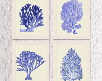 Blue Sea Coral Art Print Set, Nautical Bathroom Decor