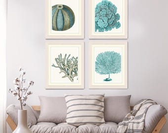 Set of 4 Blue Coral & Sea Urchin Prints - Nautical Print nautical decor Art Illustration nautical Poster beach house decor nautical wall art