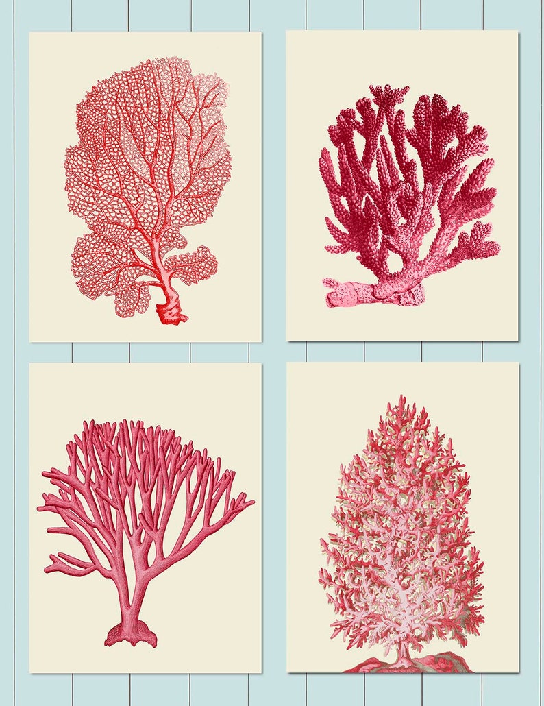 Coral print Set 4 Red Coral Art Prints Nautical Print coral home decor coral wall art coral decor red art print red room decor coastal art image 7