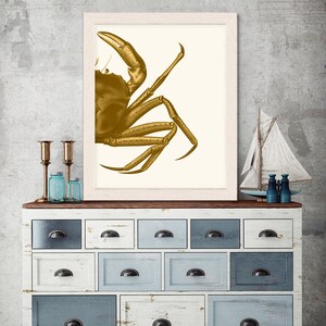 Crab Print, Mustard on Cream crab art gold art print Nautical print beach decor wall decor marine painting nautical picture bathroom decor image 10