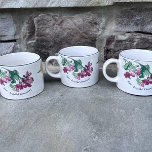 Vintage Floral Coffee Mugs / Geranium Pattern by Sakura / Set of 3 / Designed by Sue Zipkin / Majesticware by Sakura / Stoneware Mugs