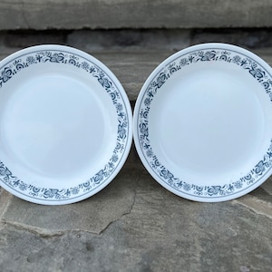 Corelle Old Town Blue Dinner Plates / Set of 2 / Corning Blue Onion Dinner Plates / Blue Trim Plates / Vintage Corelle Ware
