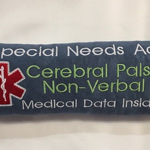 Special Needs Medical Tag, Diabetic Medical Alert, Autism, Allergy, Seat Belt Cover, Medical Alert, Seat Belt Wrap, Medical Info, Medical ID