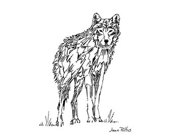 Wolf drawing, gray wolf illustration, timber wolf, black and white, wildlife drawing, wild animal, woodland animal art, fine art print