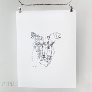 Bergziege Zeichnung, Mt Ziege, Tier Kunstwerk, Fine Art Print, wilde Tiere, Natur Kunstwerk, Mt Ziege Illustration, Natur Geschichte Kunst Bild 3
