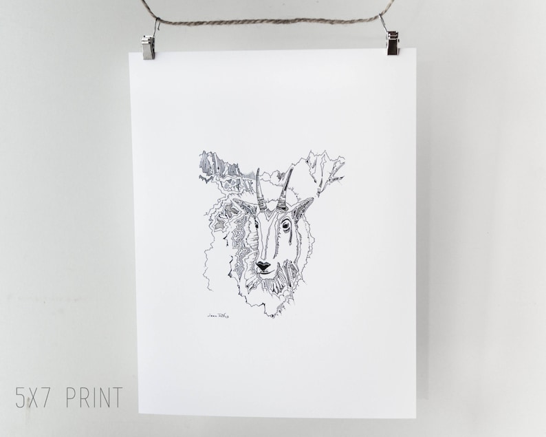 Bergziege Zeichnung, Mt Ziege, Tier Kunstwerk, Fine Art Print, wilde Tiere, Natur Kunstwerk, Mt Ziege Illustration, Natur Geschichte Kunst Bild 3