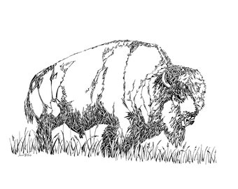 Bison drawing, buffalo, bison illustration, wild animals, animal nursery art, wall decor, wildlife artwork, wildlife drawing