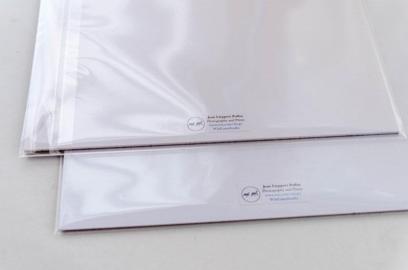 May include: Two white art prints in clear protective sleeves. The prints have a small circular logo and text in the lower right corner. The prints are stacked on top of each other.