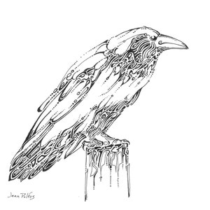 Peut inclure: Dessin au trait noir et blanc d'un corbeau perch&eacute; sur un poteau. Le corbeau est dessin&eacute; dans un style d&eacute;taill&eacute; et complexe avec de nombreuses lignes et motifs. La signature de l'artiste, "Jean Peltier", est visible en bas &agrave; gauche.