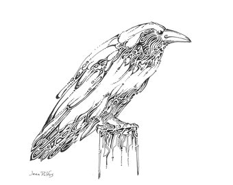 Raven drawing, wildlife artwork, raven illustration, wall art, nature home decor, fine art, Canadian wildlife, bird art, corvus