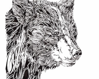 Black bear potrait, unique line drawing, wildlife artwork, black bear illustration, natural history illustration, wildlife art, bear artwork