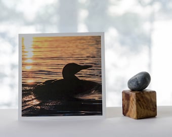 Loon silhouet at sunset, nature photography, northern Wisconsin, square prints, matte print, nature photograph, bird art