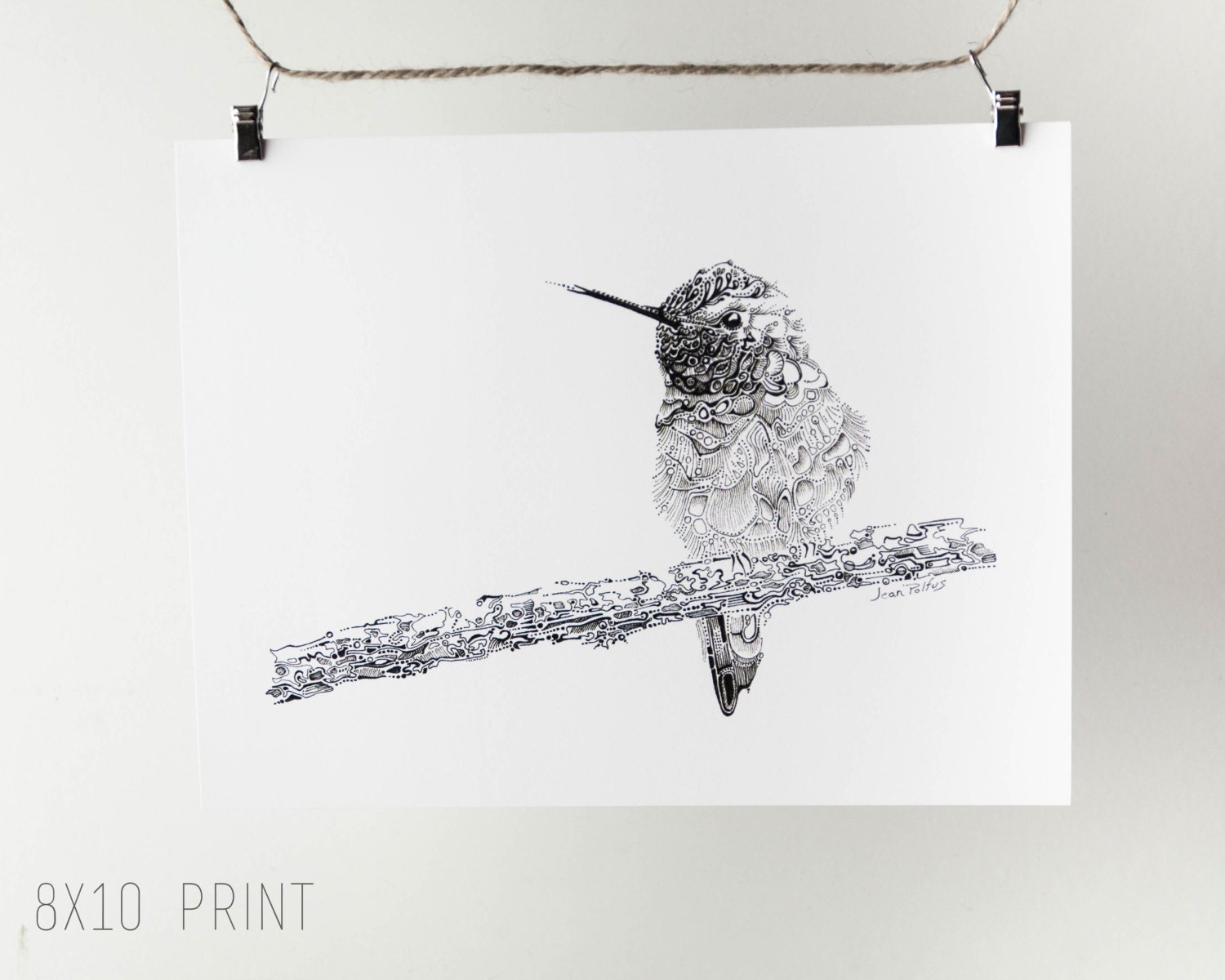 絵画 bird 動植綵絵 13 芦鵞図 Ro Ga-zu(Goose and Reeds) | 伊藤若冲 Ito Jakuchu