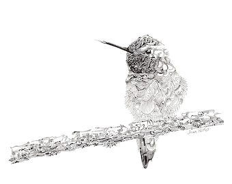 Hummingbird illustration, fine line artwork, black and white, hummingbird drawing, wildlife art, bird watching, bird artwork, nature drawing