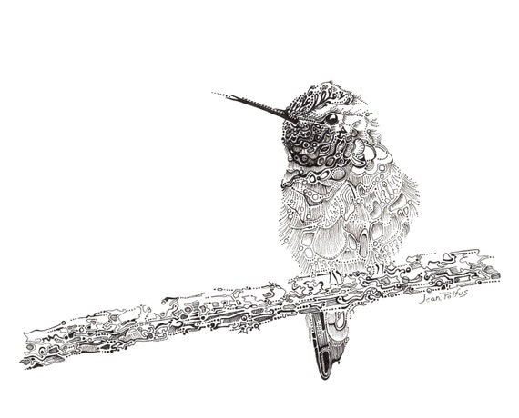 Bird Sketches(バード・スケッチズ) Bird sketch.