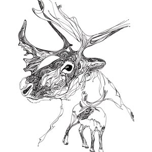 Caribou spirit drawing, caribou illustration, line drawing, reproduction of original drawing, animal artwork, woodland animals, caribou art image 1