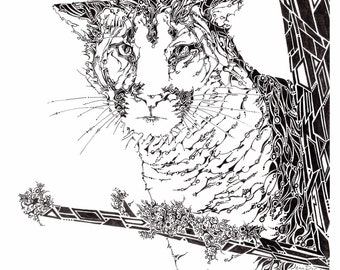 Mountain lion drawing, cougar illustration, puma drawing, big cat artwork, wild animal art, North American wildlife, mountain lion art