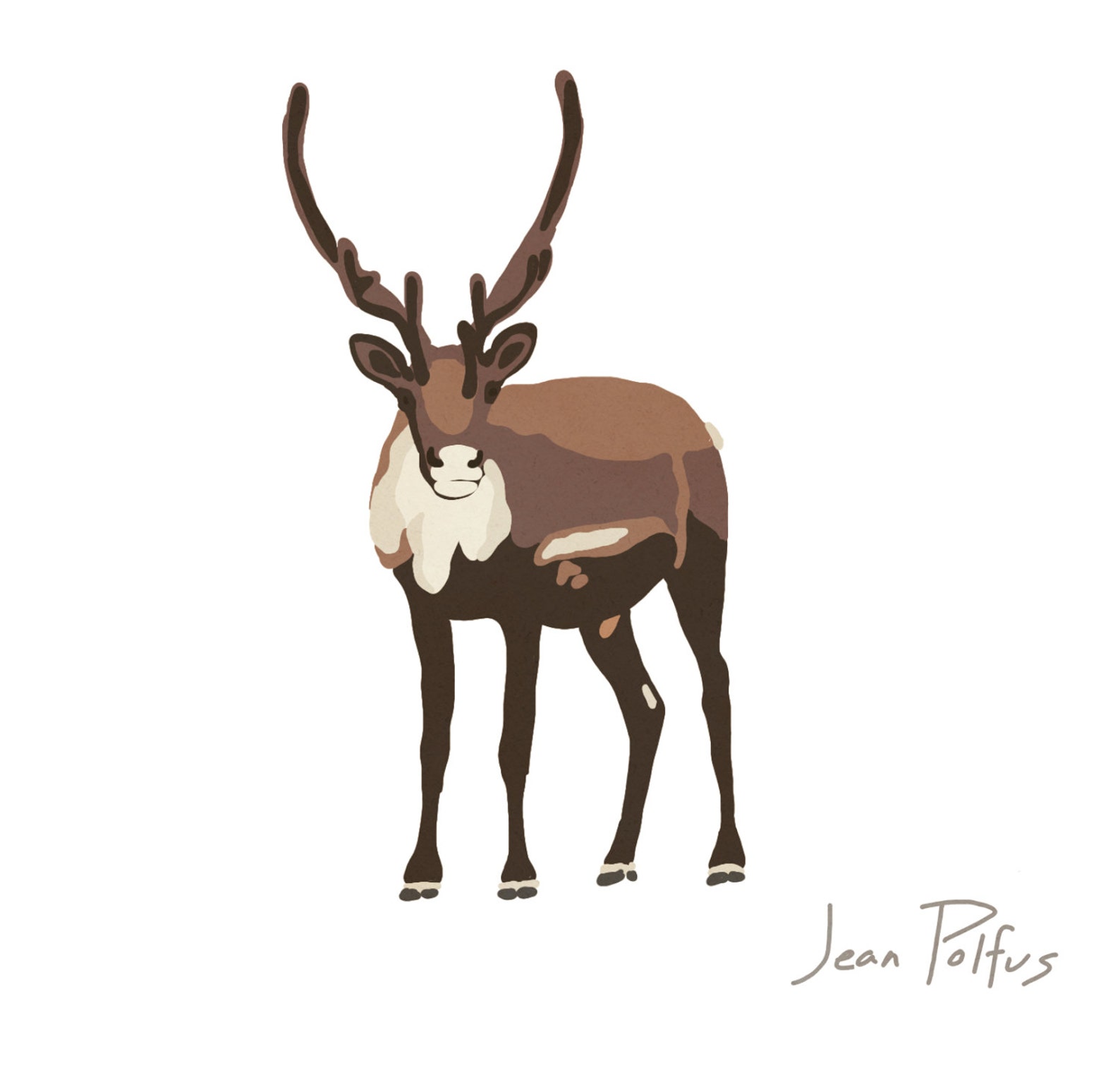 Caribou Art Print Bold Caribou Illustration Caribou Drawing Etsy