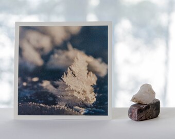 Snowflake fine art photography print, nature photography, Northwest Territories, winter photograph, square print