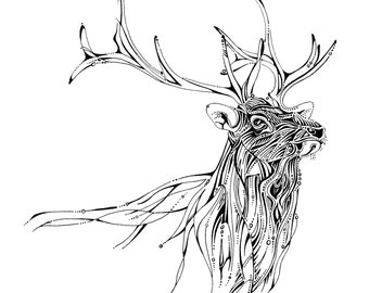 Elk line drawing, elk illustration, wildlife artwork, unique black and white drawing, fine art print, woodland animals, wapiti, American elk