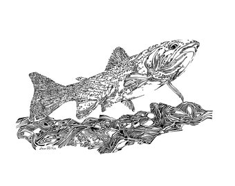 Westslope Cutthroat Trout drawing, original illustration, animal artwork, natural history, conservation, Montana wildlife, fish drawing