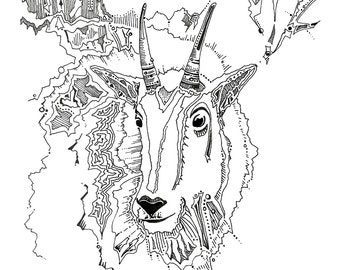Mountain goat drawing, mt goat, wildlife artwork, fine art print, wild animals, nature artwork, mt goat illustration, natural history art