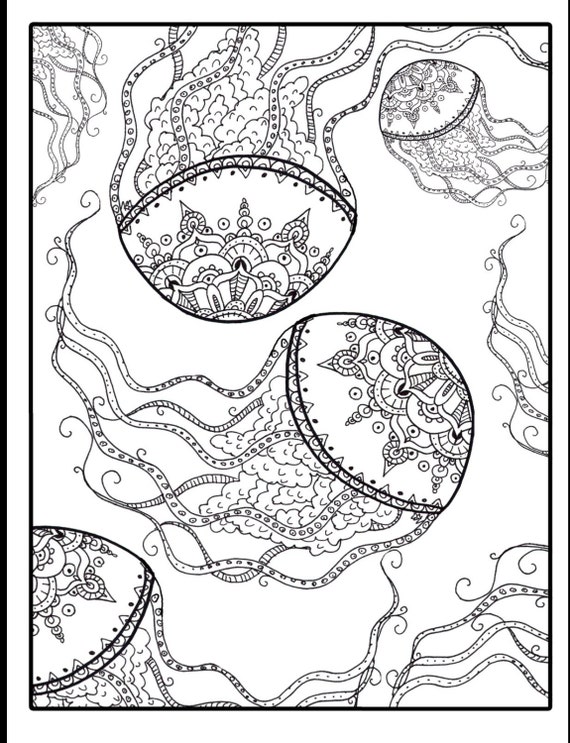 Mindfulness Coloring Book Whimsical Wildlife of the Pacific Northwest / Adult  Coloring Book/ Kids Activity Books/ Kids Coloring Book/animal 