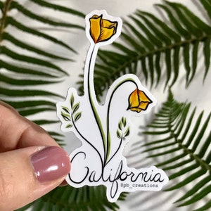 3” Vinyl poppies sticker California poppy flower flowers bumper computer water bottle sticker