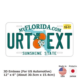 Florida 2000&#39;s / Customizable USA State License Plate 12in x 6in Embossed