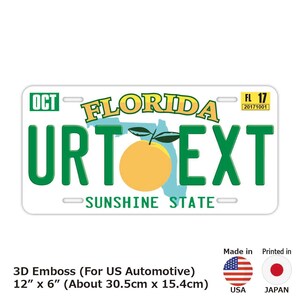 Florida / Customizable USA State License Plate 12in x 6in Embossed