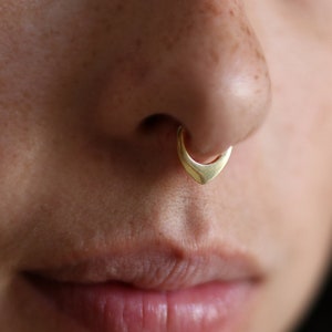 Pointed horseshoe shop septum ring