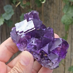 Illinois fluorite - Etsy 日本