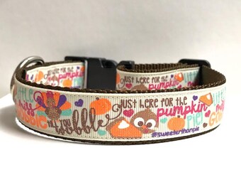 1" Little Miss Gobble til you Wobble, just here for pumpkin pie collar