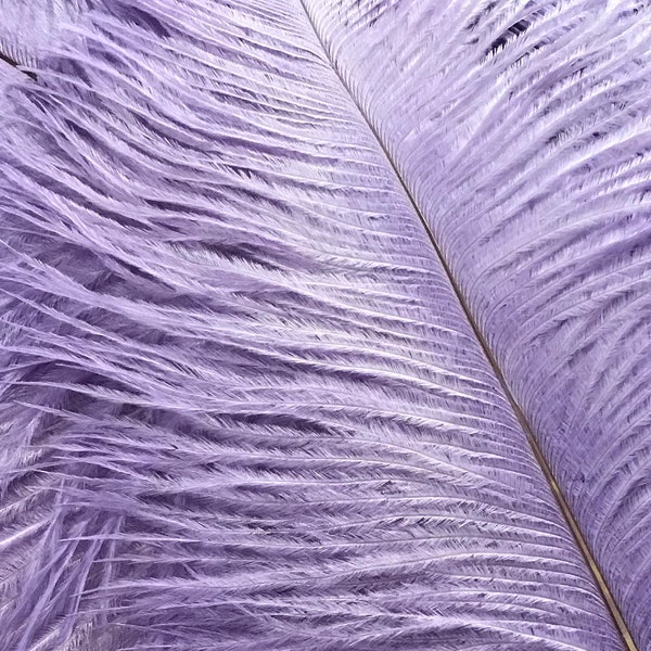 17-19" LAVENDER Ostrich Feathers Drabs Medium Ostrich Feathers Light Purple Fairy Angel Wing Feathers Fan Feather Ceiling Arrangement