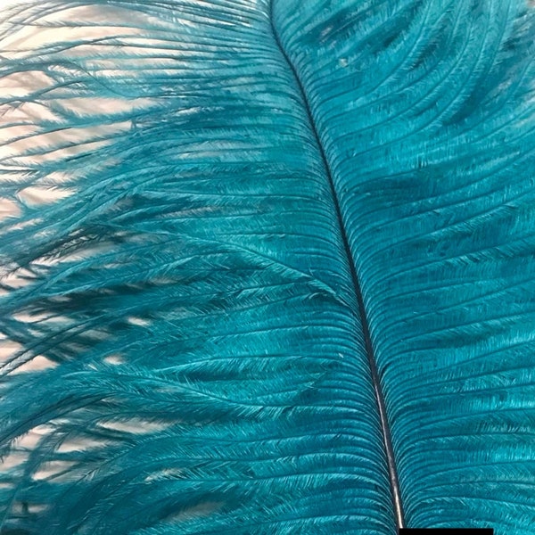 Teal Ostrich Feather Plume 26" & up -  Extra Large Ostrich Feathers