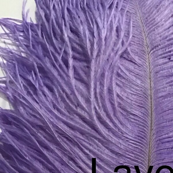 10-12" LAVENDER Ostrich Feathers Drabs  - Extra Small Ostrich Feathers - 29 Different Colors Bridal Photo Feathers Feather Accents