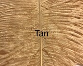 Tan Ostrich Feather Plume 26 quot up - Extra Large Ostrich Feathers